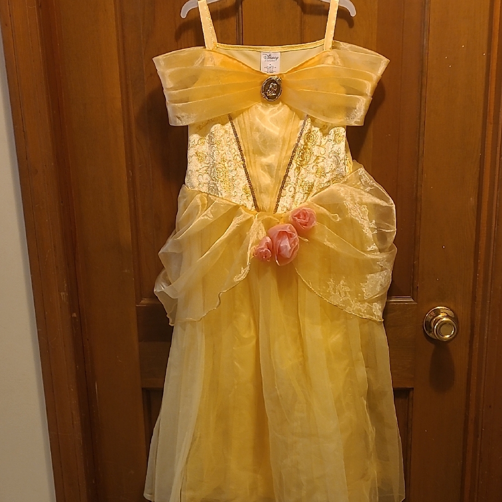 Disney Golden Princess Gown with Pink Rosettes